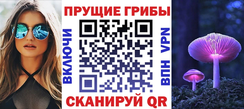 дарнет шоп  блэк спрут как зайти  Псилоцибиновые грибы мицелий  Нерехта 